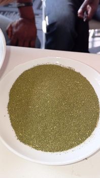 Moringa Powder - Jacobus Commodities - Namibia