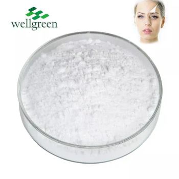Cosmetic Grade Sodium Hyaluronic Acid Hyaluronic Acid EINECS 618-415-6 HS Code 39131000 Grade Food Grade Model NO. - Wellgreen Technology Co., Ltd - China