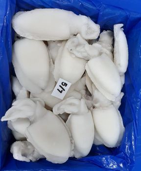 Cuttlefish Cleaned Block/IQF - International Marine Foods - India