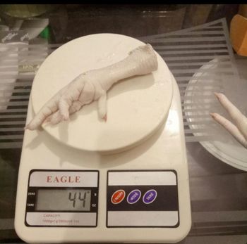 Frozen chicken FEET, GACC approved - ROZPED GLOBAL SP. Z O.O Freshness Level Frozen - rozped global - Poland