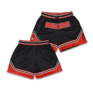 Mesh Men's Sports Shorts Customized Embroidered Breathable Basketball Shorts - Guangzhou Healong Sportswear Co., Ltd. - China