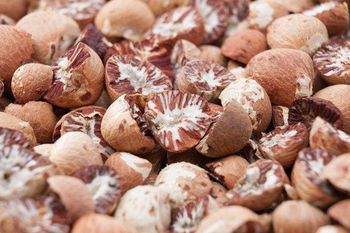 Superior Raw Betel Nuts Excellent Quality Carefully Packed Ready For Business Buyers Wholesale Price With Fast Order Sup from CPW TRADE LTD Superior Raw Betel Nuts Excellent Quality Carefully Packed Ready For Business Buyers Wholesale Price With Fast Order Sup - CPW TRADE LTD - United Kingdom