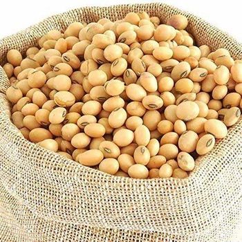 Premium Soybeans High Quality Whole Soy Beans Bulk Wholesale Supply Cheap & Affordable Pricing from A.C.P. AGRICULTURE COMPANY LIMITED Premium Soybeans High Quality Whole Soy Beans Bulk Wholesale Supply Cheap & Affordable Pricing - A.C.P. AGRICULTURE COMPANY LIMITED - Thailand