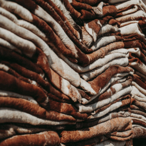 Buy Bulk Wet Salted Cow Hides - agroturaspzoo - Poland