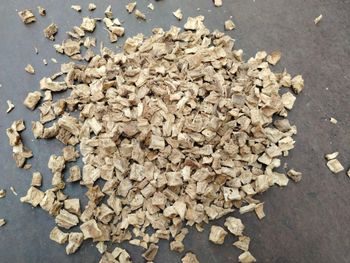 Chicory root Organic No Origin France, Italy Freshness Level Fresh - BALA JI DHAM - India