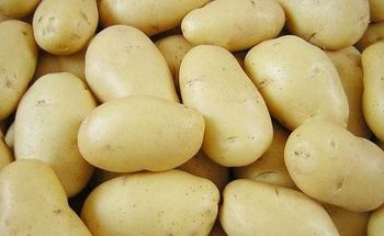 White/Yellow-skinned potatoes (for Diamant) Weight (kg) 50 Flesh Color White Moisture Content 75–80% Skin Color White To Light Yellow - anisa tade - Bangladesh