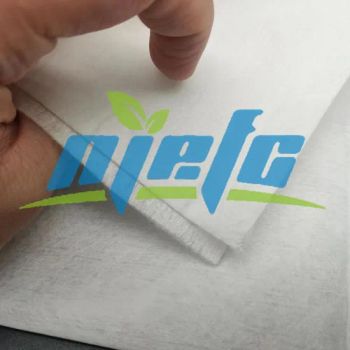 Premium Anti-Dust Eba Coated Non-Woven Fabric for Car Protection - Nanjing EFG Co., Ltd. - China