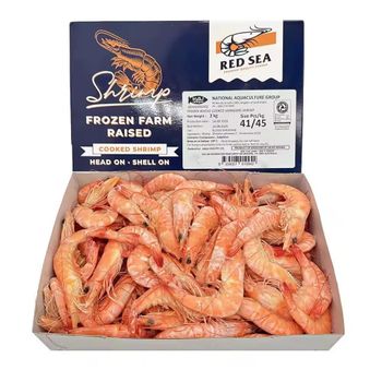 Deepwater Norwegian Prawns IQF Frozen Premium Wild Caught Sweet Flavor Perfect for Export and Wholesale - PILOTEXPORT IMPORT AND EXPORT LTD - South Africa