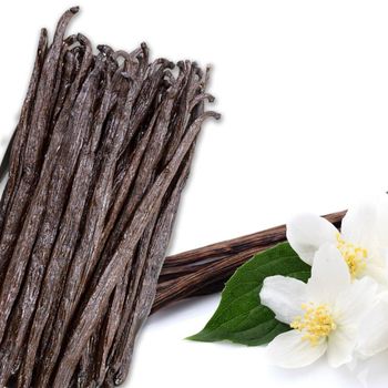 Vanilla Beans from Agroral import export srl Vanilla Beans - Agroral import export srl - Romania