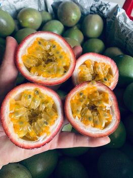Passion Fruit Size 4-8 cm Aroma Vibrant Style Fresh/Frozen Flavor Tangy-sweet Weight (kg) 80-120g Material 100% Fresh Quality High - quality - Great Farmer Company Limited - Vietnam
