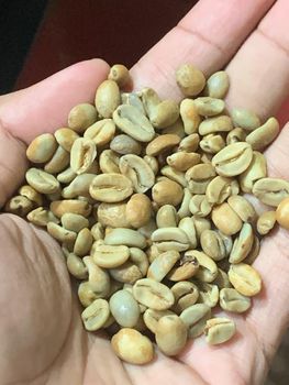 Robusta Green Beans Grade 1 from PT. BAY SEJAHTERA EXPORT Robusta Green Beans Grade 1 – product photo, Coffee & Coffee Bean products found from trusted suppliers, wholesalers, manufacturers & exporters Listing