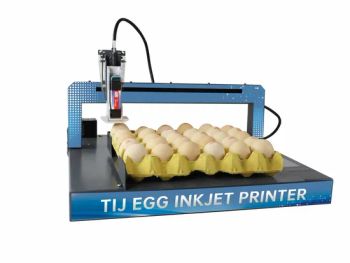 Fully Automatic Egg Ink Jet Printer 5-Inch Touch Screen 600 Dpi HD Ink Jet Printer Ink Jet Printers for Chicken Egg - Hangzhou Coditeck Digital Co., Ltd. - China