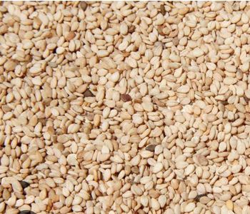 Sesame seeds