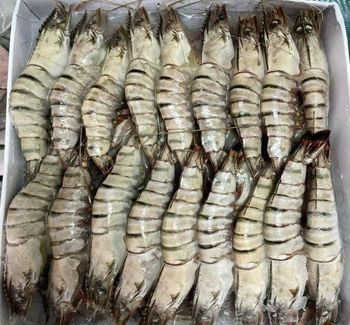 Frozen Prawns Naturally Processed Ocean Harvest Seafood With High Protein Content For International Seafood Importers - TOSOH INTERNATIONAL - South Africa
