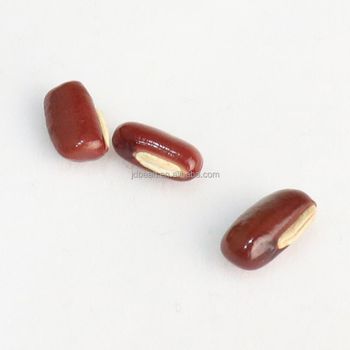Well Selected CHIXIAODOU Long Shape Adzuki Bamboo Bean Small Red Bean - Hebei Nihewan Agricultural Development Co., Ltd. - China