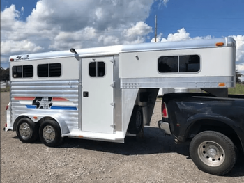 Two Horse Trailers / 2004 4 Star gooseneck - senesie mfg llc - United States