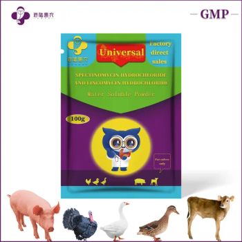 Veterinary Cattle Medicines Health Product Spectinomycin Hydrochloride 10% & Lincomycin Hydrochloride 5% Water Soluble Powder Antibiotic Medicine - Shanghai Ganglu Huinong Biotechnology Co., Ltd. - China