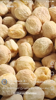 Dried apricots Flavor Intense Fruity Flavor Packaging As Per Requirements Purity 100% Natural And Chemical-free Processing Method Sun-dried Without - AKF trading company - Afghanistan