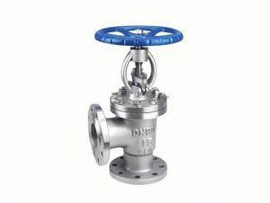 Custom Stainless Steel Worm Gear Flanges for Industrial Use - Nanjing Zhongxun Pipeline Equipment Co., Ltd - China