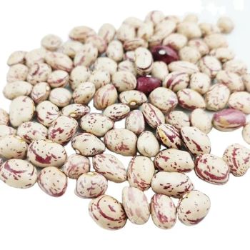 Wholesale Light Speckled Round Grain Sweet Kidney Beans Grade A Features Organic Packaging Custom Type Kidney Beans Degree of Processing Dried - VERTEX TRADING LIMITED - United Kingdom
