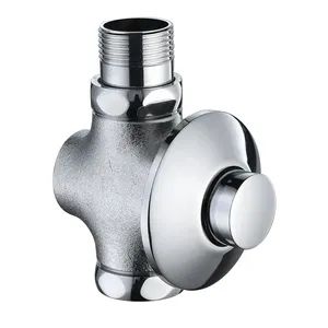 Chrome Hand Control Push Delay Flush Valve for Public Toilet OEM Yes Factory Yes Origin China Technics Casting Warranty - Zhejiang Tieyong Machinery Manufacturing Co., Ltd. - China