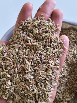 Primium Indian Cumin seeds ( Jeera ) from AJ ENTERPRISES Primium Indian Cumin seeds ( Jeera ) - AJ ENTERPRISES - India