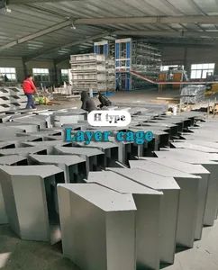 High-Accuracy Poultry Farm Cage for Effective Chicken Farming - Raisetech Co., Ltd. - China