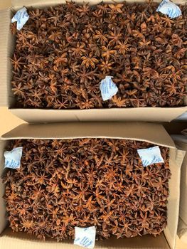 star anise from Prosi,.JSC star anise - Prosi,.JSC - Vietnam