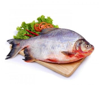 RED POMFRET WHOLE SALE FROM VIETNAM SUPPLIER - TANIS IMPORT & EXPORT COMPANY LIMITED - Vietnam