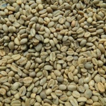 Robusta $ Arabica Coffee Available For Sale from Njang Investments Limited Robusta $ Arabica Coffee Available For Sale - Njang Investments Limited - Kenya