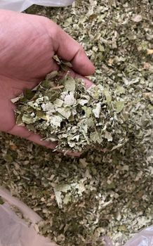 Dried Raspberry Leaf TBC Grade FOOD Color GREEN Packaging HDOE BAGS Max. Moisture (%) 8% Shelf Life 24 MONTHS Place of Origin INDIA - ADEPT IMPEX PVT LTD - India