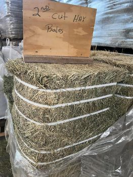 Rice Straw Hay - BF GLOBAL TRADING (PTY) LTD - South Africa