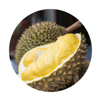 Fresh Durian Vietnam Common Cultivation Sweet Taste Monthong/ Ri6 Variety Fresh Yellow Durian In Carton Box Packaging - CHANH THU EXPORT AND IMPORT FRUIT COMPANY LIMITED - Vietnam