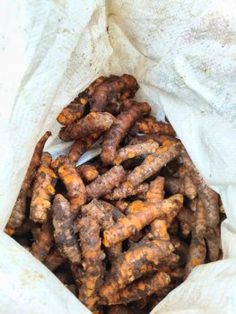 Turmeric raw Form Whole Delivery Form Sacks Freshness Level Fresh - CV. Sekawan Cipta Dinar - Indonesia