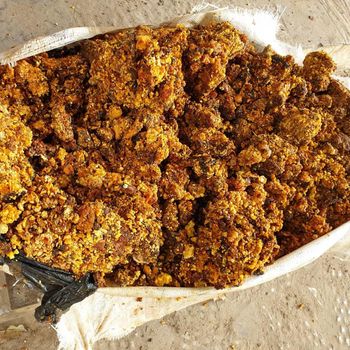 sweet myrrh - Tasnim Gums Resin - Kenya