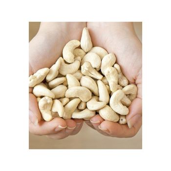 cashew nuts for food processing and industrial use high quality kernels with consistent quality and reliable supply suitable for large scale food production companies and manufacturers - SATTER FOOD AND BEVERAGE - Netherlands