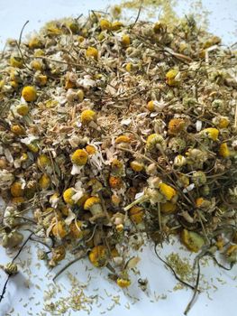 Premium Egyptian Dried Chamomile Flowers - BF GLOBAL TRADING (PTY) LTD - South Africa