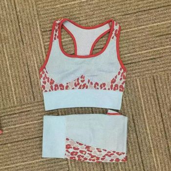 Sportswear 2 Pieces Suit Gym Wear Fitness Outfits Wear Running Clothes Cycling Clothing Yoga Wear - Yiwu Tuofu Clothing Co., Ltd. - China
