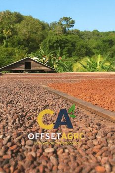 COCOA BEANS – product photo, Fermented Cocoa Beans products found from trusted suppliers, wholesalers, manufacturers & exporters Listing