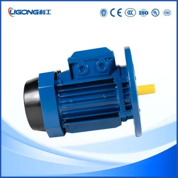 Aluminum Shell Three-Phase Asynchronous AC Induction Motor 380V IP55 0.12kw-18.5kw - Zhejiang Ligong Motor Co., Ltd. - China