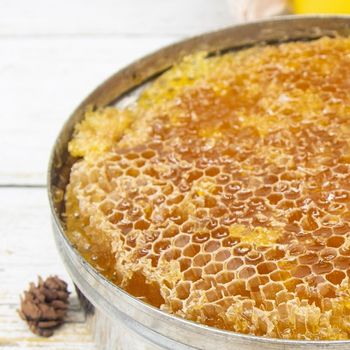 Natural Honey Comb for Customized with Wholesale Price for Bulk - EcoRoma GmbH - Germany