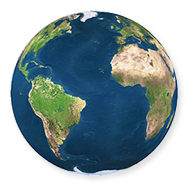 Product - APIS GLOBAL PRODUTOS ALTERNATIVOS LTDA - Global
