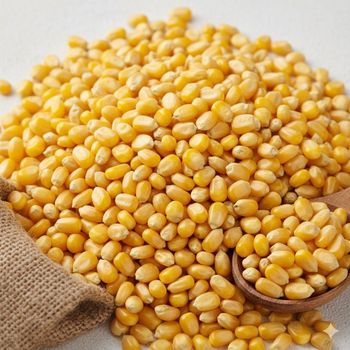 Brazilian Yellow Maize/Corn - TresBomm Comercio e Exportacao de Graos Ltda - Brazil