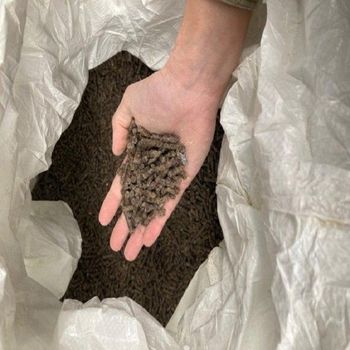 Premium Fuel Wood Pellets Suitable For Pellet Stoves Boilers And Heating Appliances Cheap Price Guaranteed from Smart Agri GmbH Premium Fuel Wood Pellets Suitable For Pellet Stoves Boilers And Heating Appliances Cheap Price Guaranteed - Smart Agri GmbH - Germany