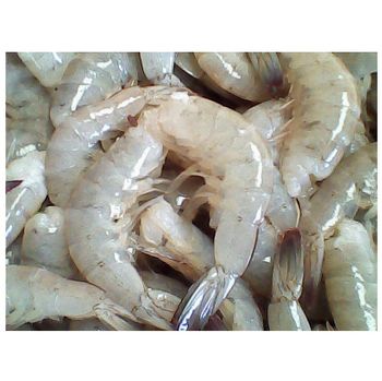 Best Price Frozen Vannamei Shrimp for Seafood Importers - Exigentelaxia Unipessoal Lda - Portugal