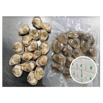 New Product Frozen Boild Hard Clams Whole Shell Clam to Singapore Market - Shishi Healsea Foods Co., Ltd. - China