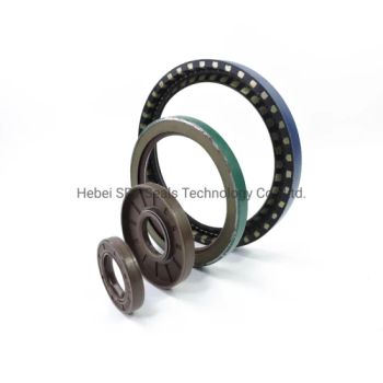 Wholesale High Pressure NBR Tc Oil Seal Tc FKM Oil Seal Rubber Oil Seal - Hebei SPT Seals Technology Co., Ltd. - China