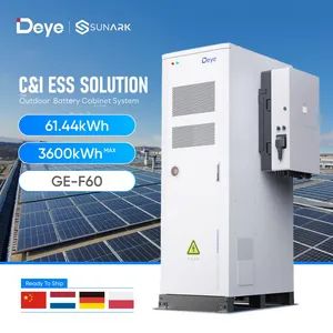 Deye Energy Storage Container Liquid Cooling 100kwh 200kwh 1MW 2MW LiFePO4 Bess Solar System - SunArk Power Co., Ltd. - China