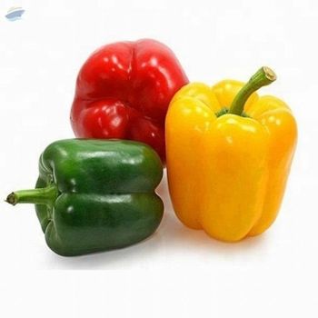 Fresh Capsicum -  Zenora Limited Liability Company  - Poland