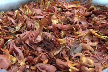 Dried Mace from Indonesia Drying Process Sun dried Place of Origin North Sulawesi, - Saujana Kerta Global - Indonesia